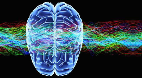 Interested in Mind?