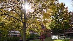 Sun through the trees on south campus