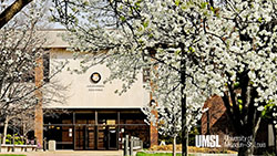 spring trees with white blossoms in front of JC Penney