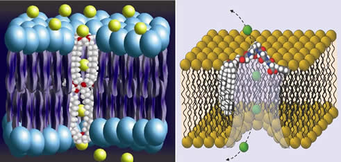 Synthetic cation and anion channels