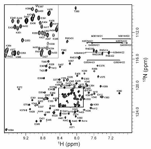 NMR Graph