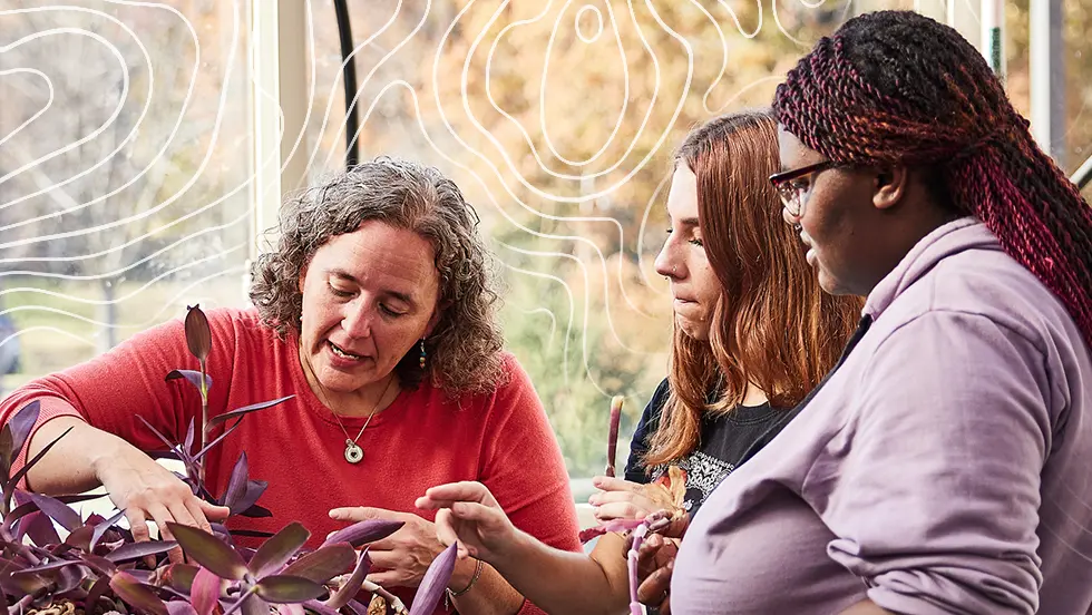 two UMSL students and a faculty member examine a plant