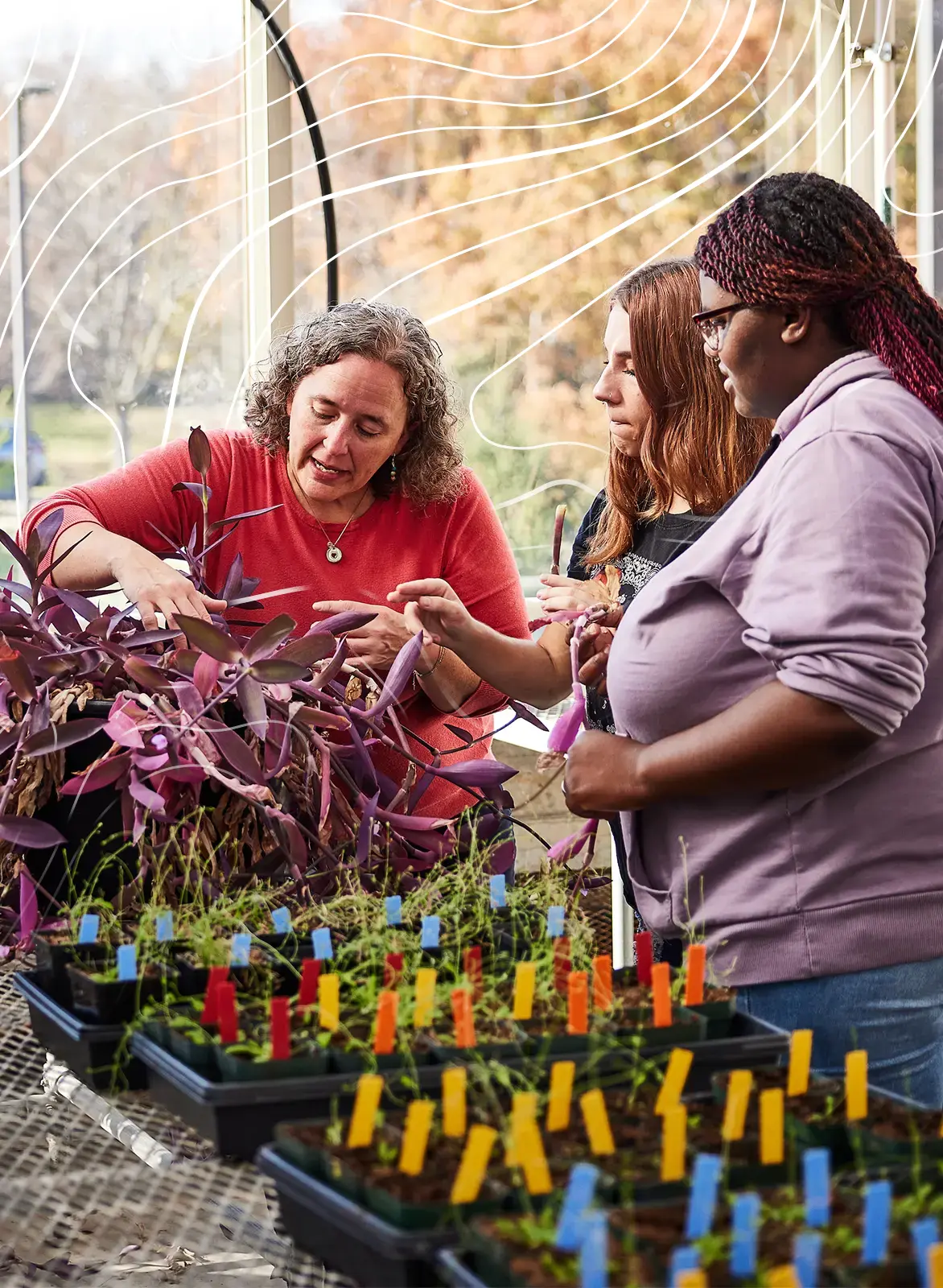 two UMSL students and a faculty member examine a plant