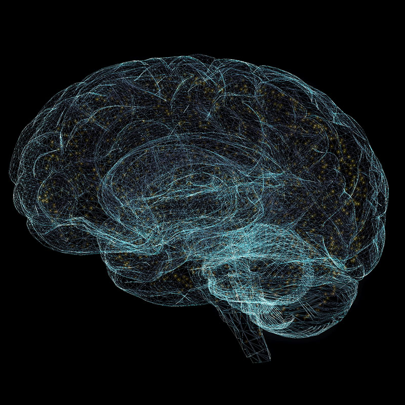 brain outline on black background