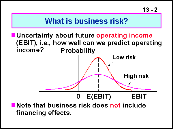 What Is Business Risk 