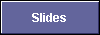  Slides 